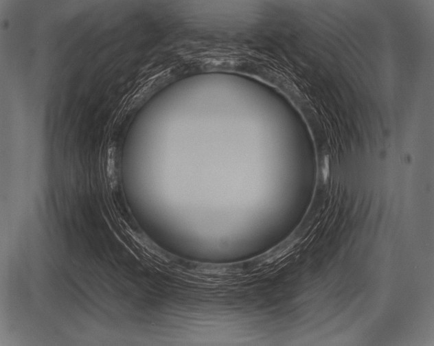 X0000087671396200705040713