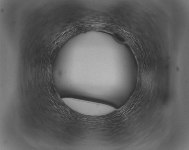X0000087671397200705040714