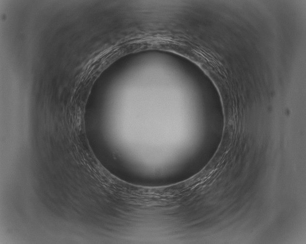 X0000087671398200705040714