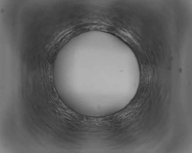 X0000087671399200705040714