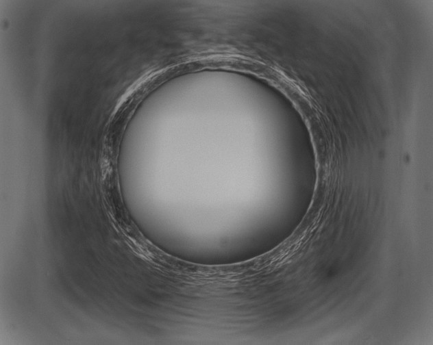 X0000087671400200705040714