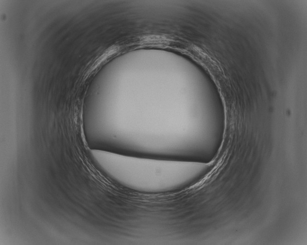 X0000087671401200705040714