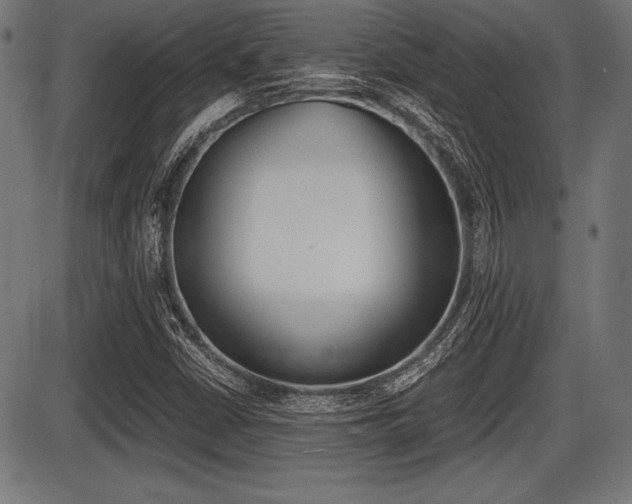 X0000087671402200705040714