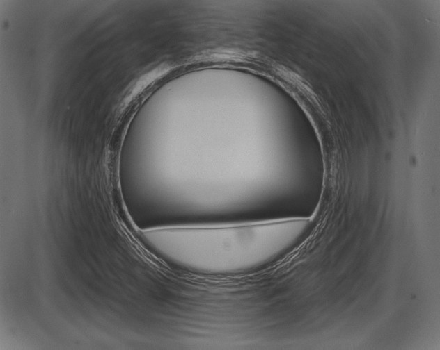 X0000087671404200705040714