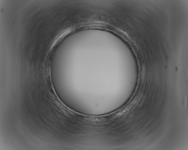 X0000087671405200705040714
