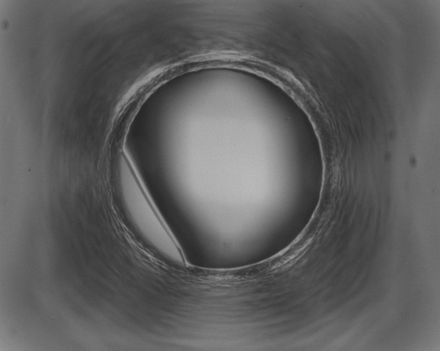X0000087671406200705040714