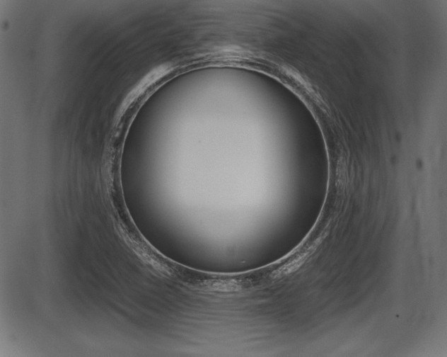 X0000087671410200705040714