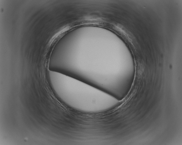 X0000087671411200705040714