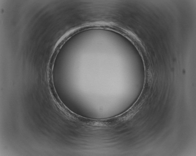 X0000087671412200705040714