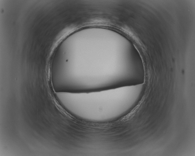 X0000087671413200705040714