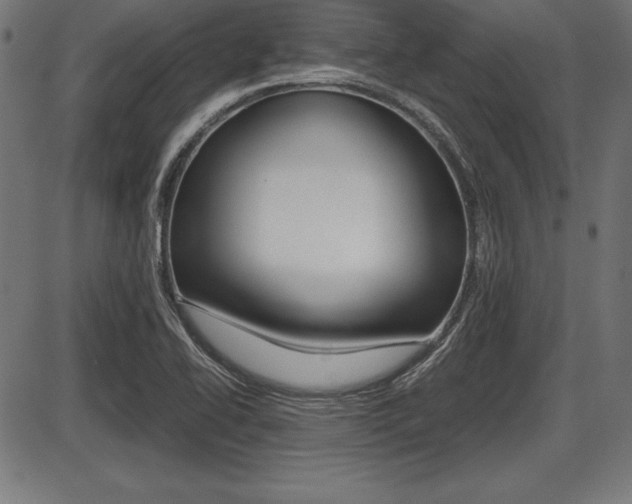 X0000087671414200705040714