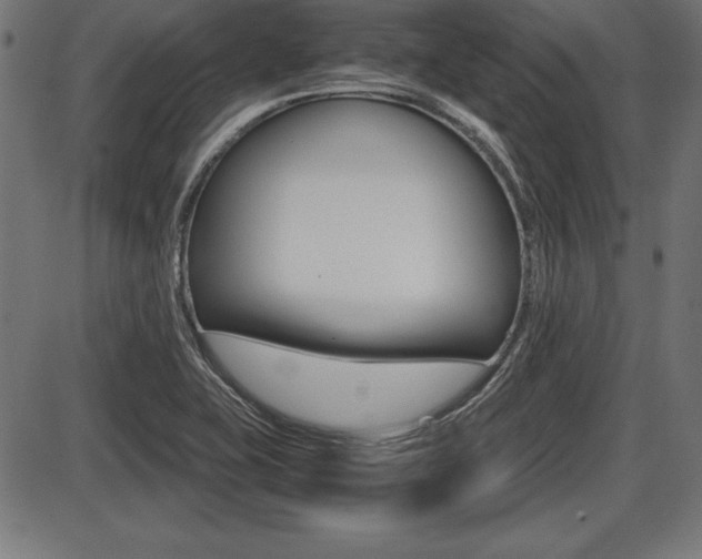 X0000087671415200705040714