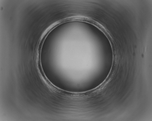X0000087671418200705040714