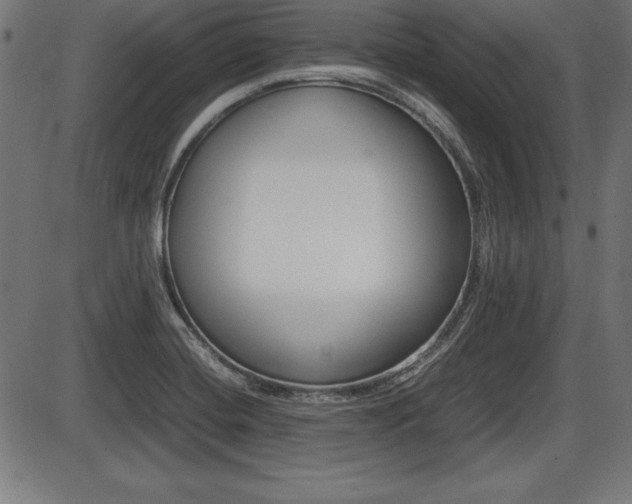 X0000087671420200705040714