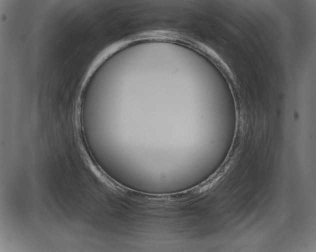X0000087671421200705040714