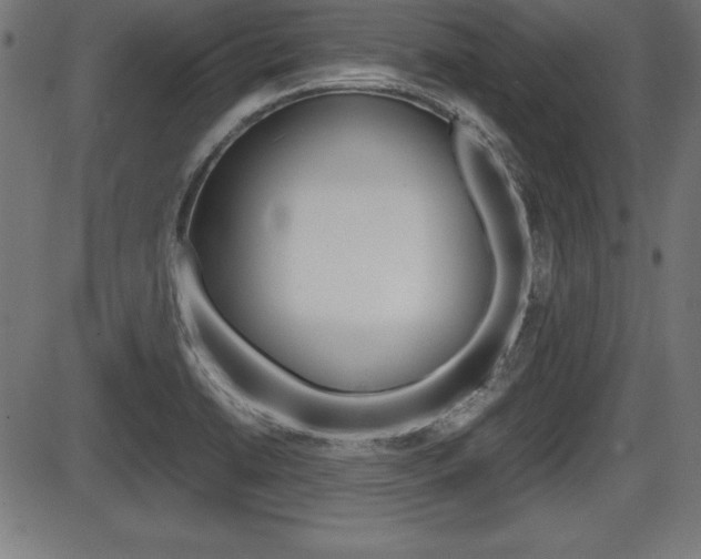 X0000087671422200705040714