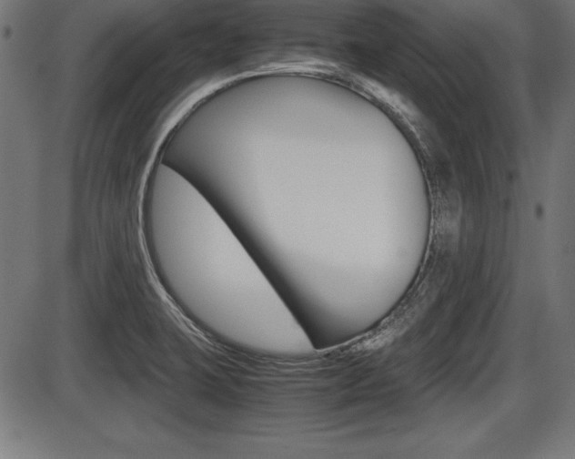 X0000087671423200705040714