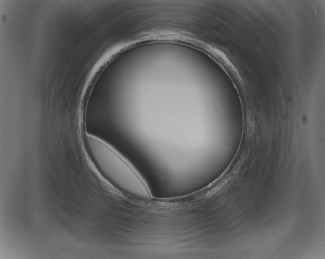 X0000087671424200705040714