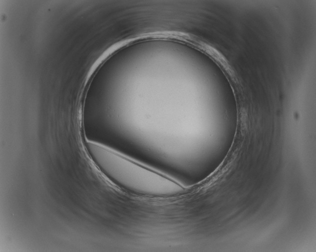 X0000087671428200705040714