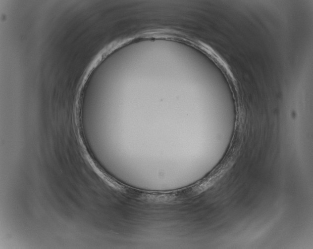 X0000087671429200705040714