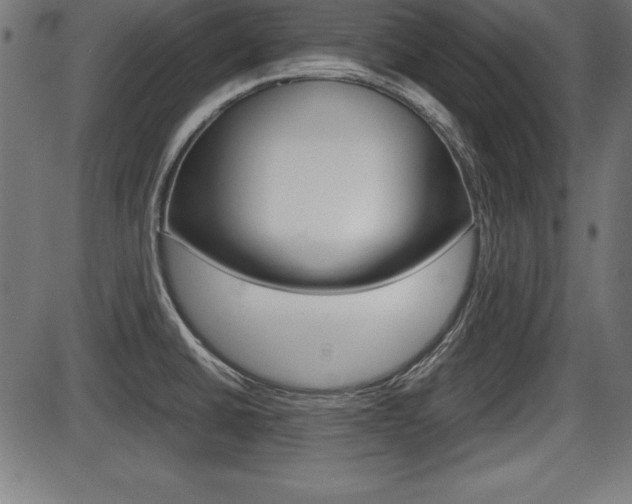 X0000087671430200705040714