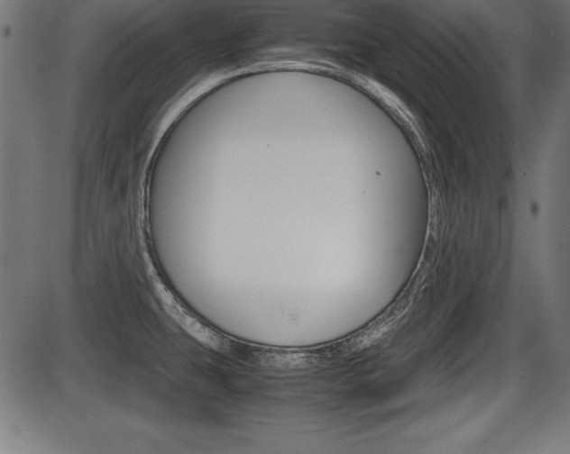 X0000087671431200705040714