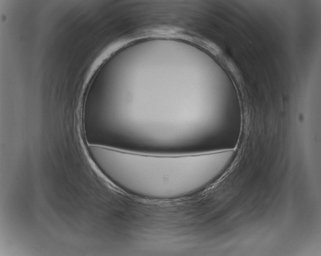 X0000087671432200705040714