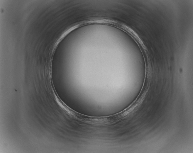 X0000087671433200705040714
