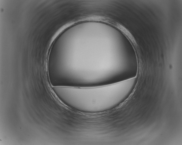 X0000087671436200705040714