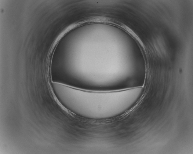 X0000087671437200705040714