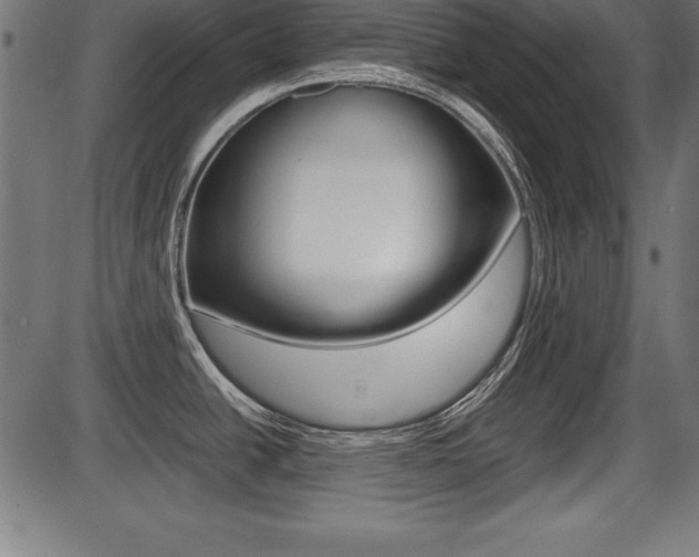 X0000087671438200705040714