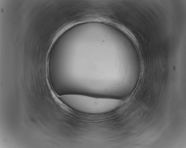 X0000087671439200705040714
