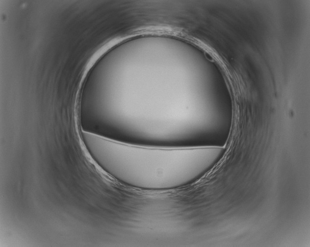 X0000087671440200705040714