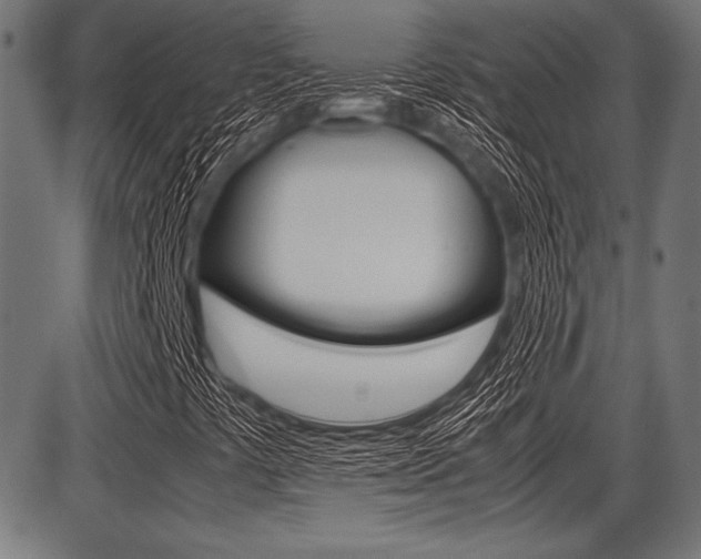 X0000087671441200705040713