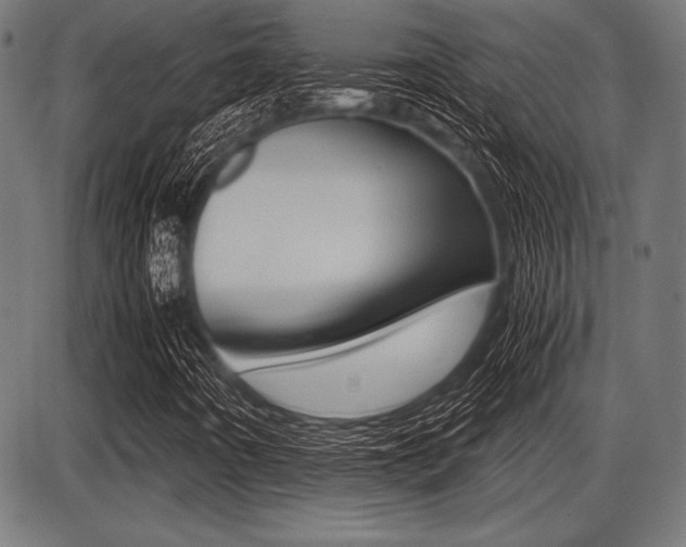 X0000087671442200705040713