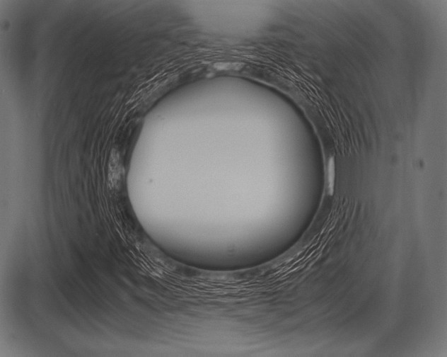 X0000087671443200705040713