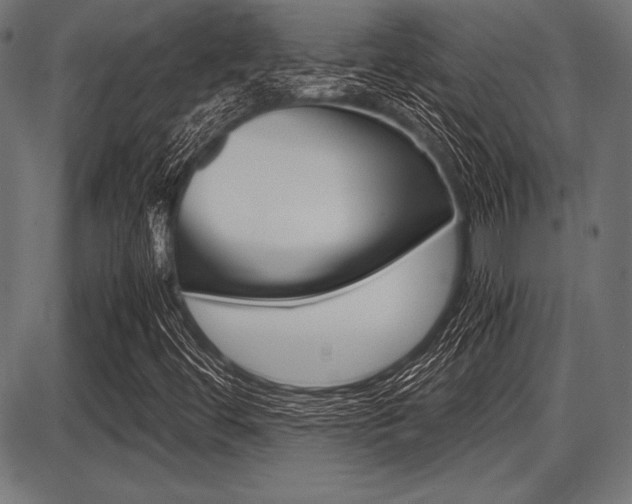 X0000087671444200705040713