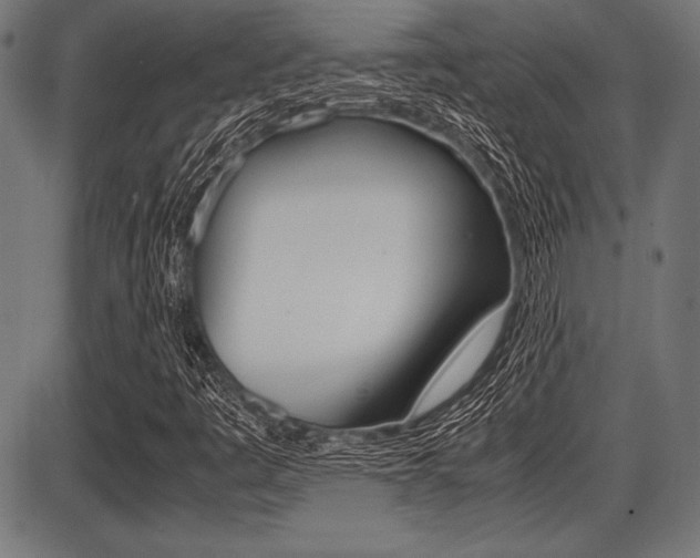 X0000087671445200705040713