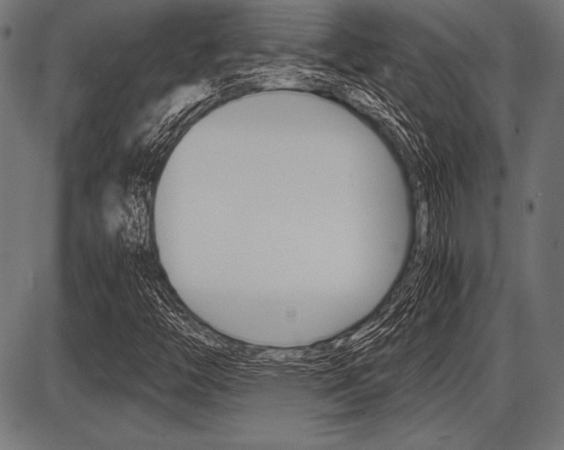 X0000087671446200705040713