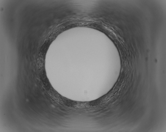X0000087671447200705040713