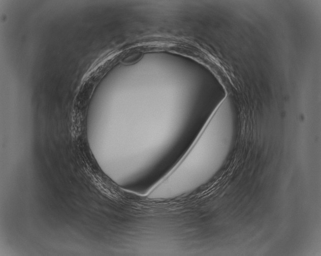 X0000087671448200705040713