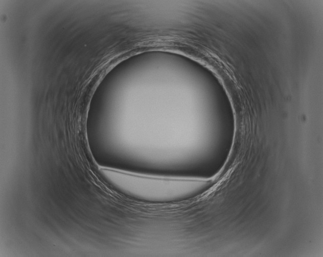 X0000087671449200705040713