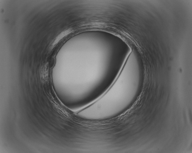 X0000087671450200705040713