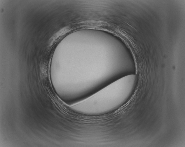 X0000087671451200705040713