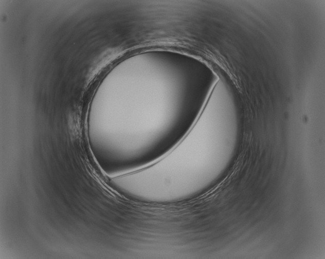 X0000087671452200705040713