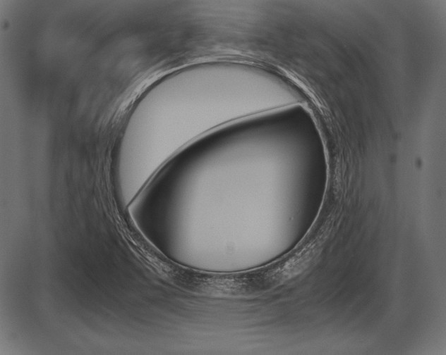 X0000087671455200705040713