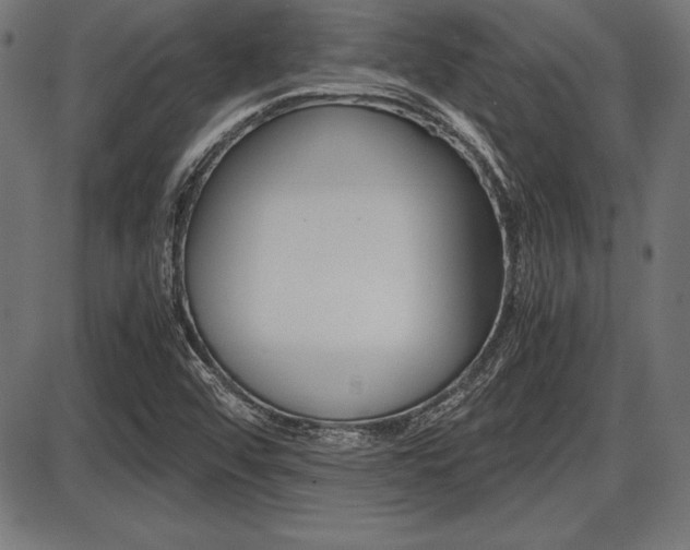 X0000087671456200705040713