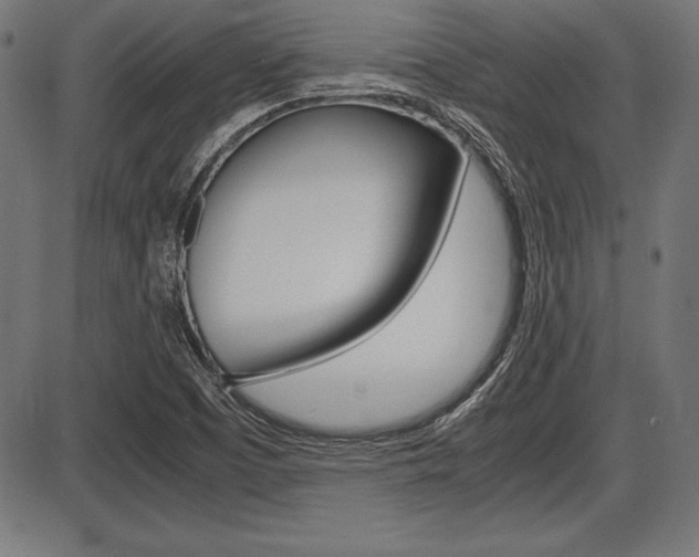 X0000087671457200705040713