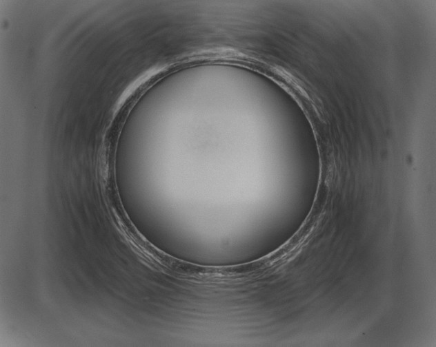 X0000087671458200705040713