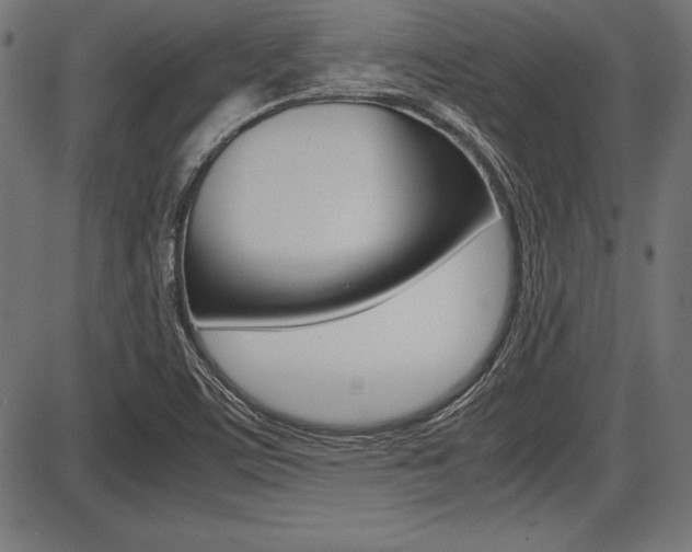 X0000087671459200705040713
